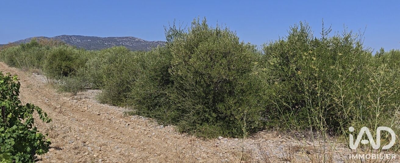 Terrain agricole  La Palme