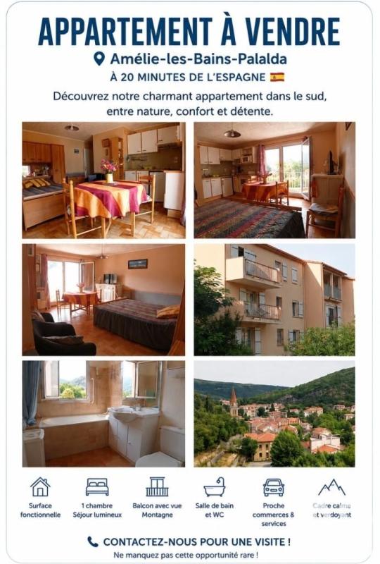 Appartement 1 Pièce(s) Amélie-les-Bains-Palalda
