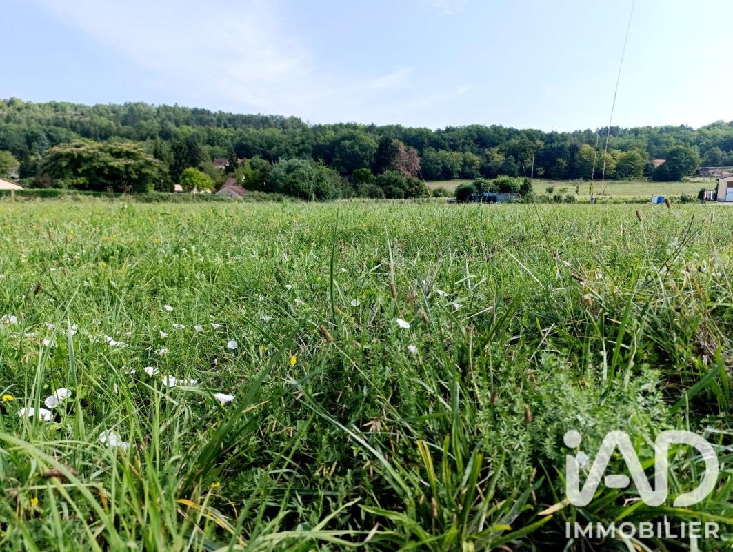 Terrain  Trémolat