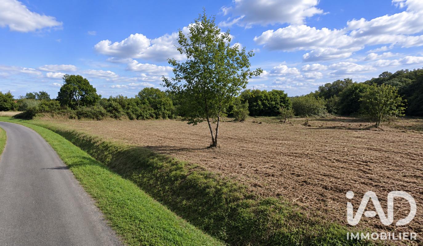 Terrain  Estampes