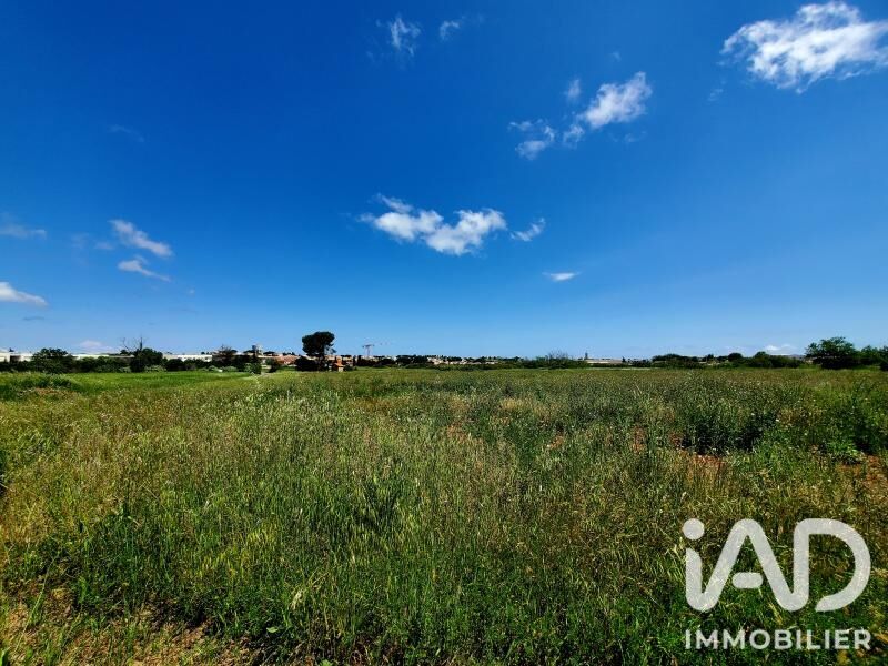 Terrain  Marseillan